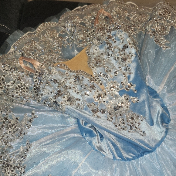 Sky Blue Proffessional Ballet Tutu Dress With Lace & Rhinestones Size S Adult - Picture 3 of 13